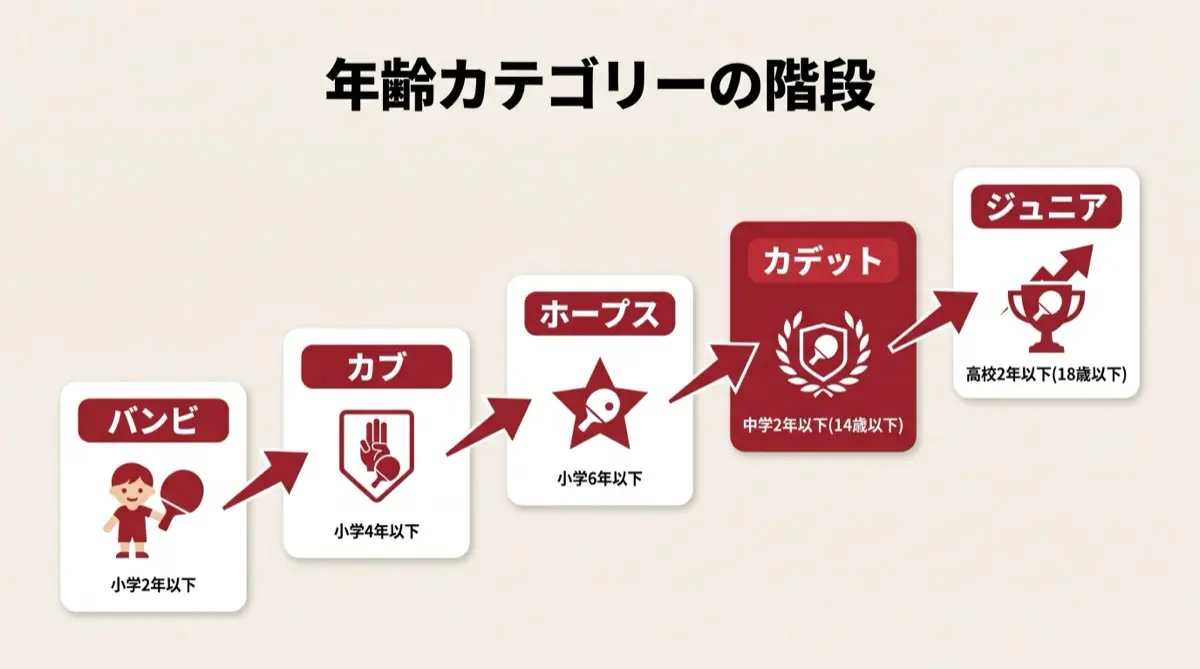 年齢カテゴリーの階段