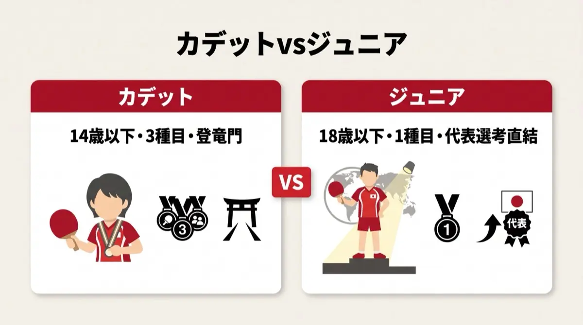 カデットvsジュニア