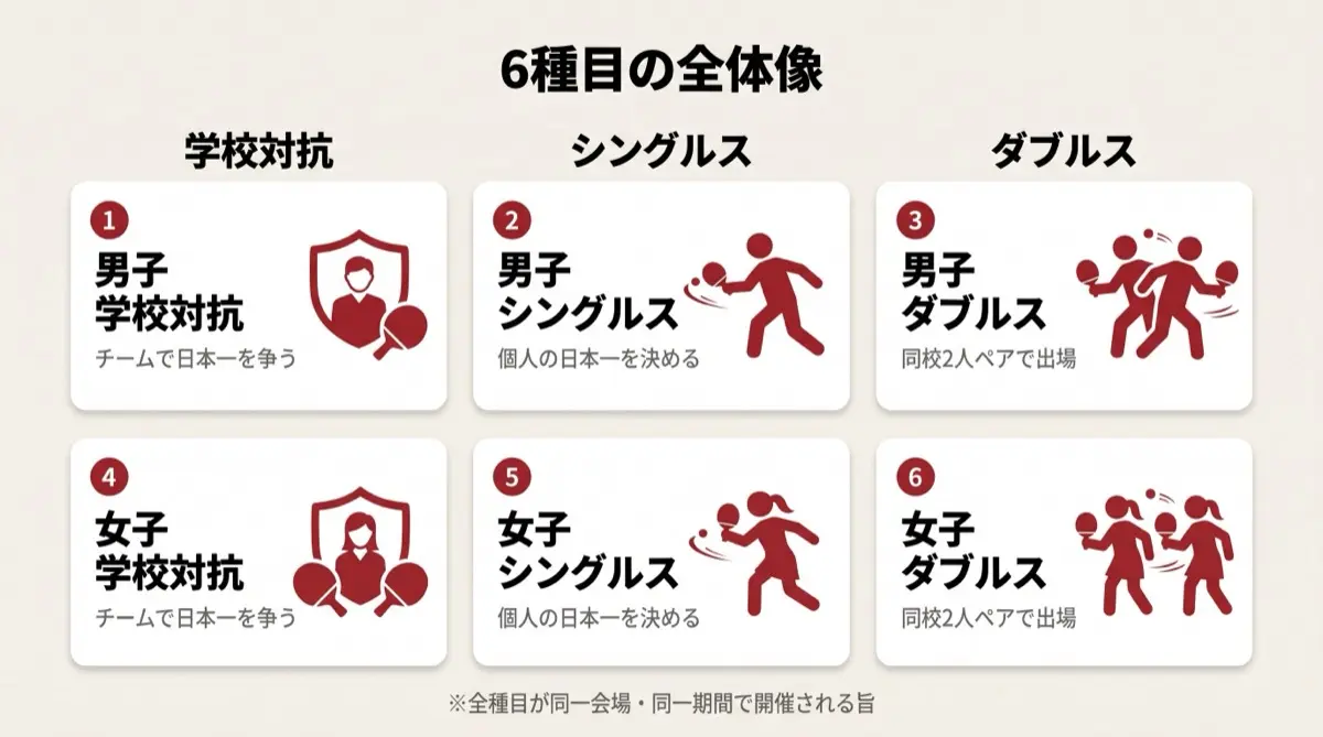 6種目の全体像