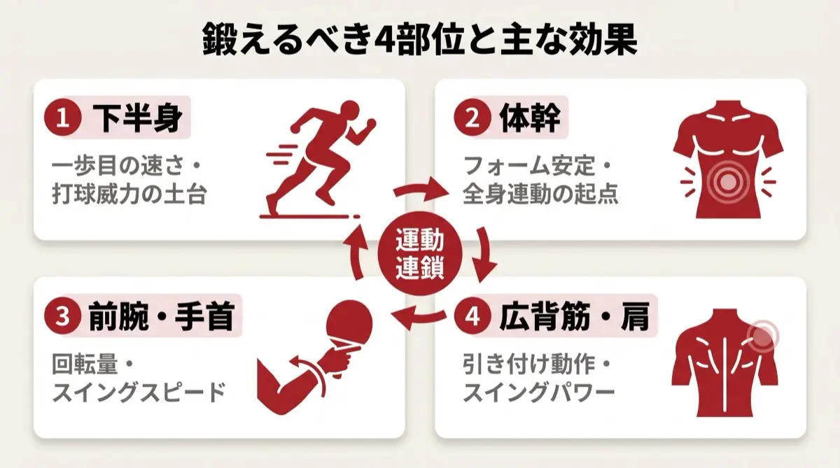 鍛えるべき4部位と主な効果