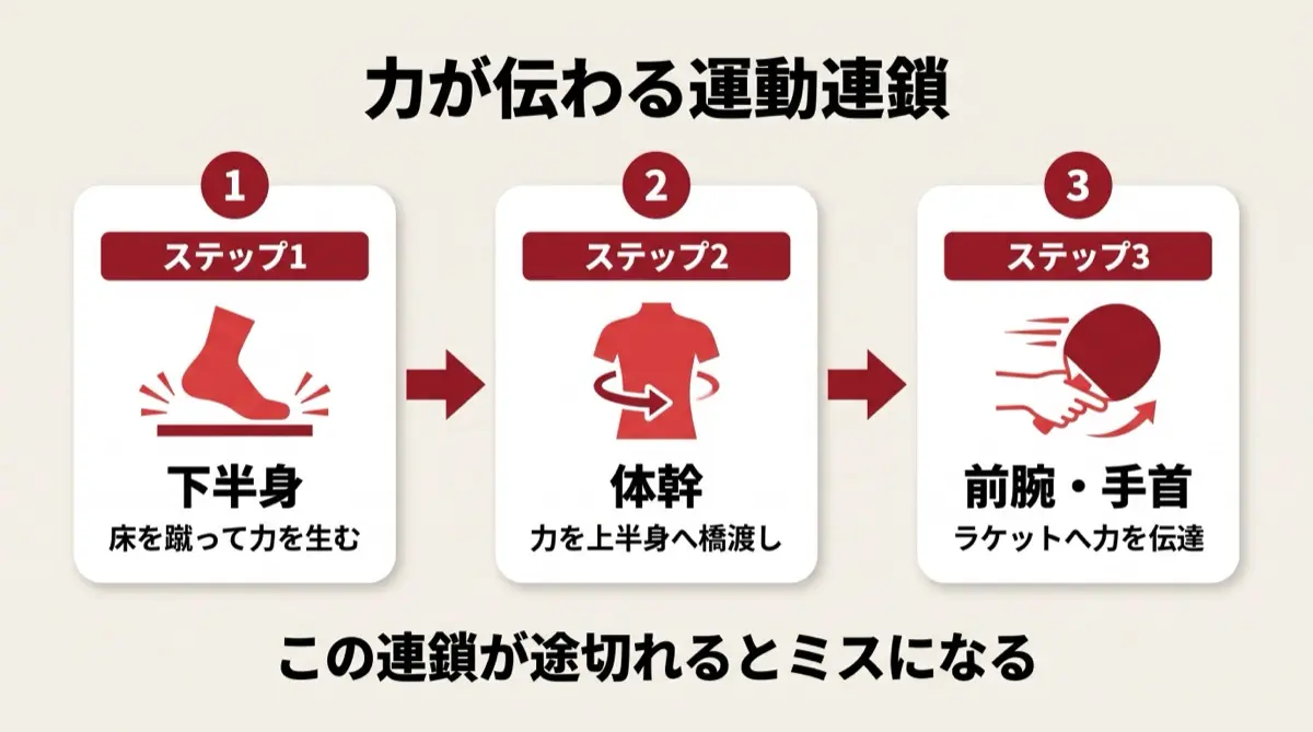 力が伝わる運動連鎖